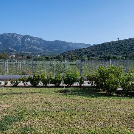 Olive Tree Garden Holiday home