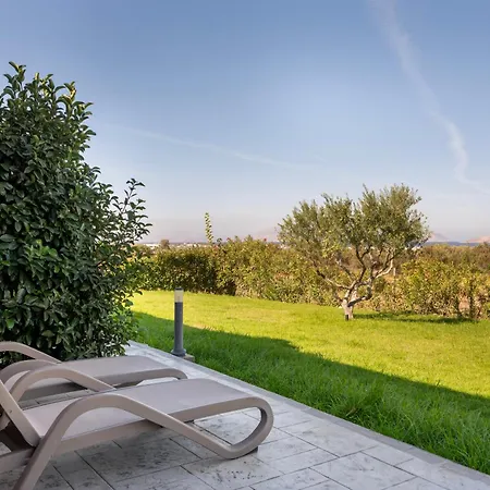 Olive Tree Garden